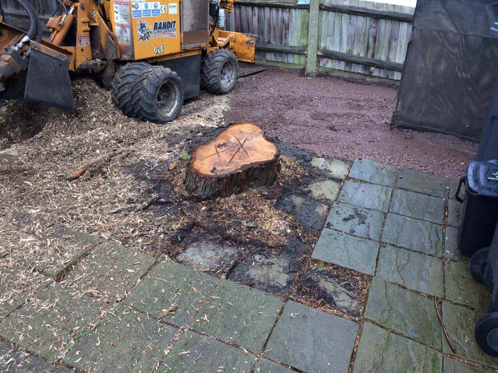 Tree Surgeons Thamesmead SE28